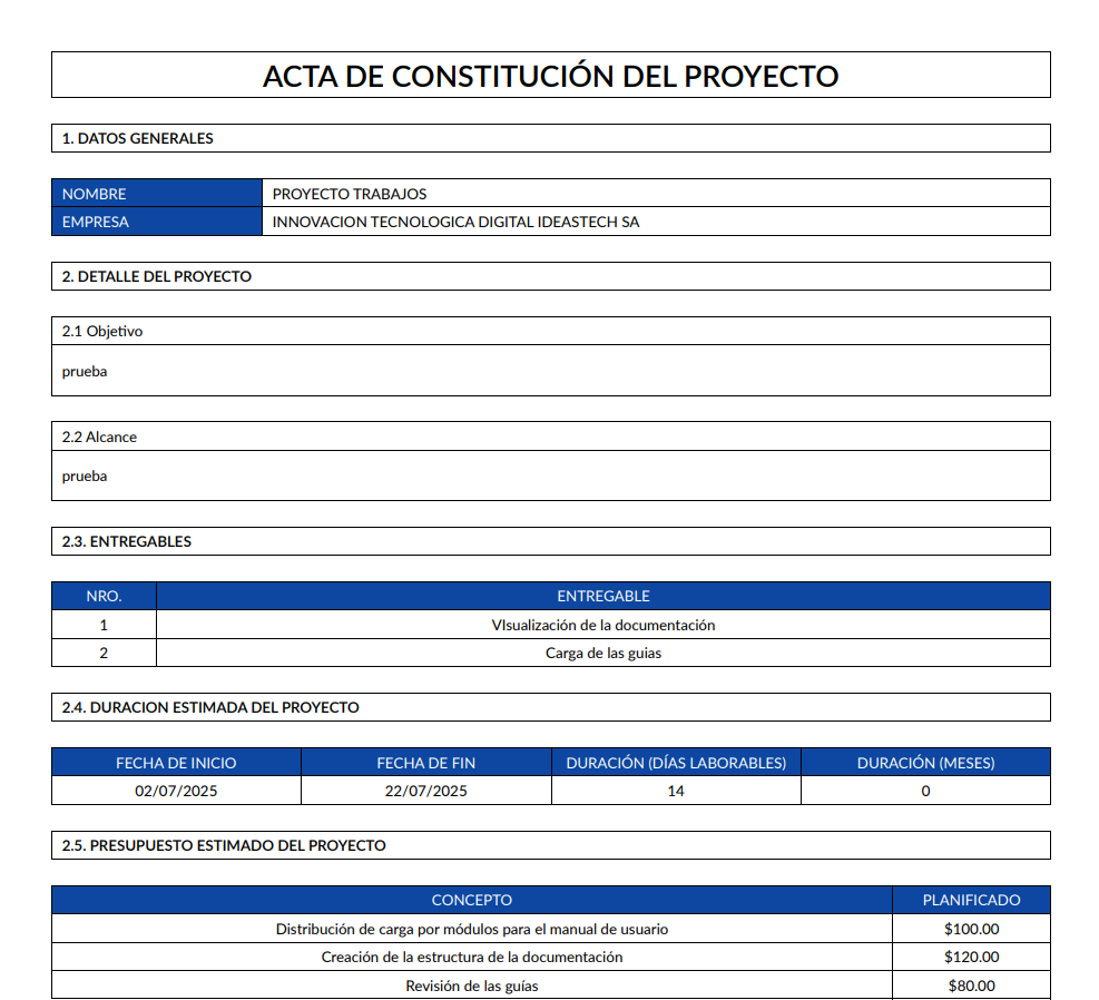vista de acta de constitución
